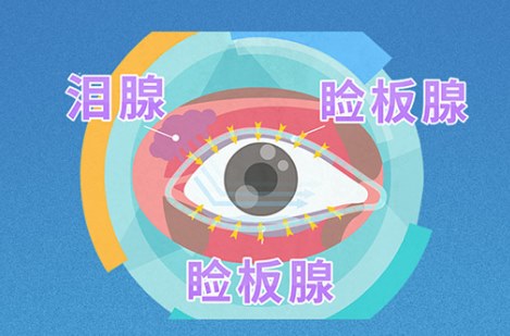 图片.png 图片.png