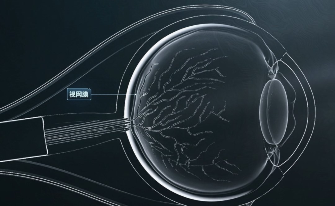 图片.png 图片.png