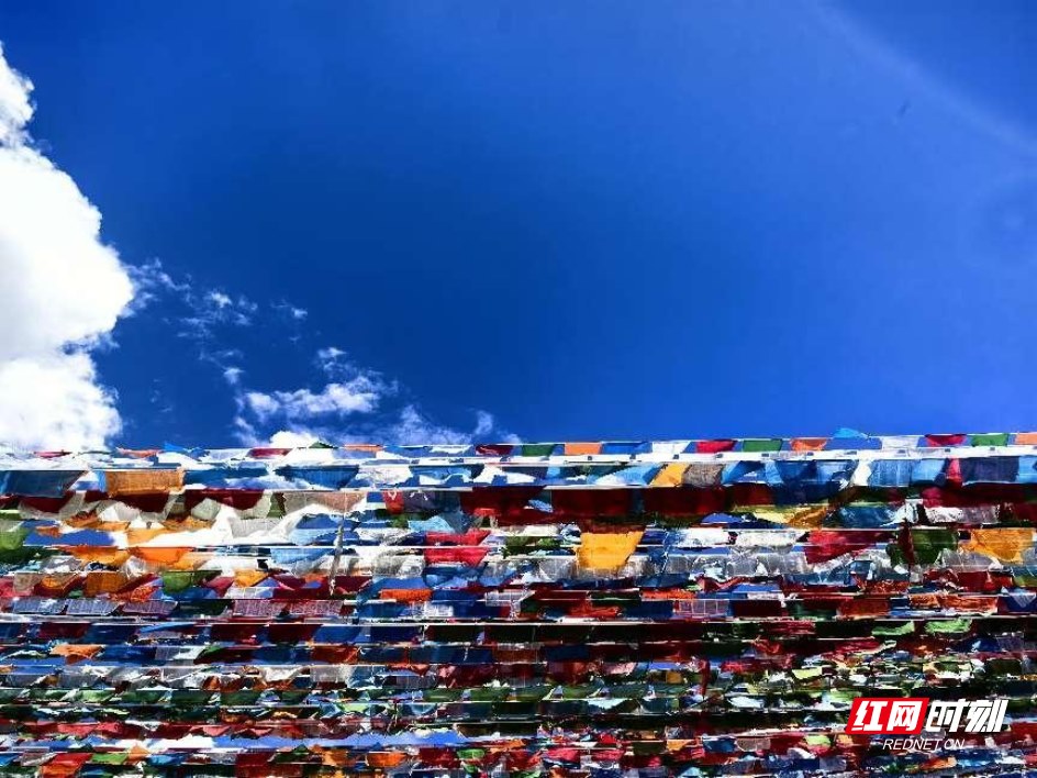 图片.png 图片.png