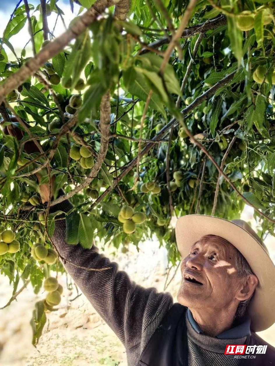 图片.png 图片.png