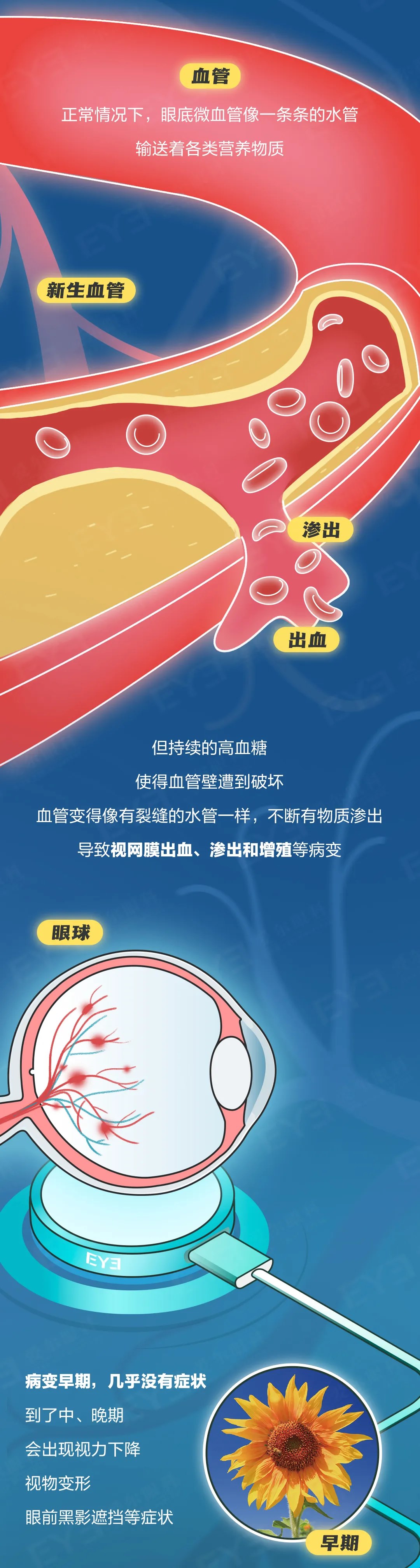 图片.png 图片.png