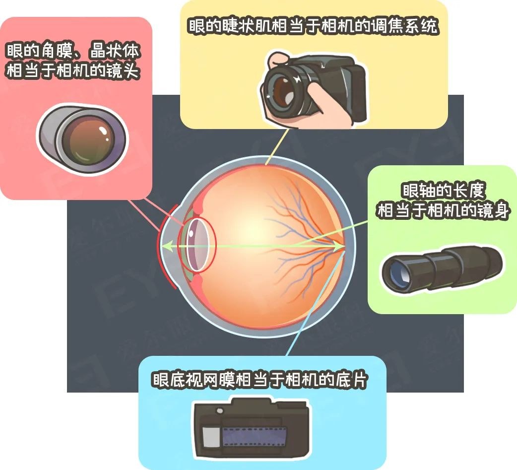 图片.png 图片.png