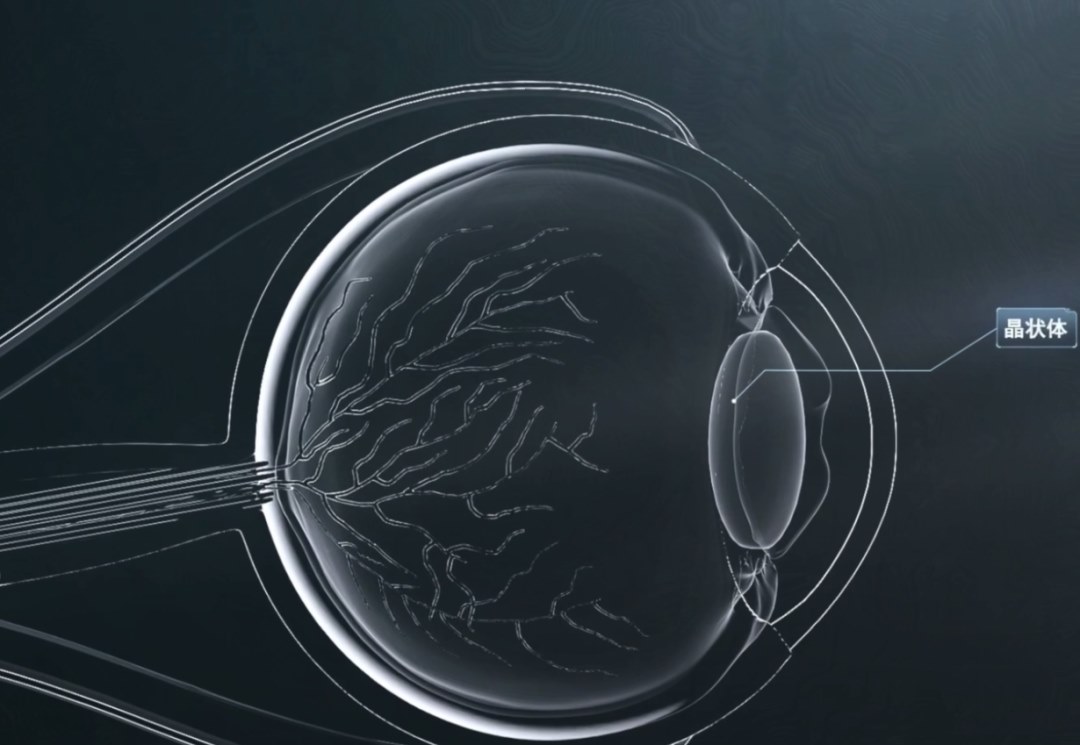 图片.png 图片.png