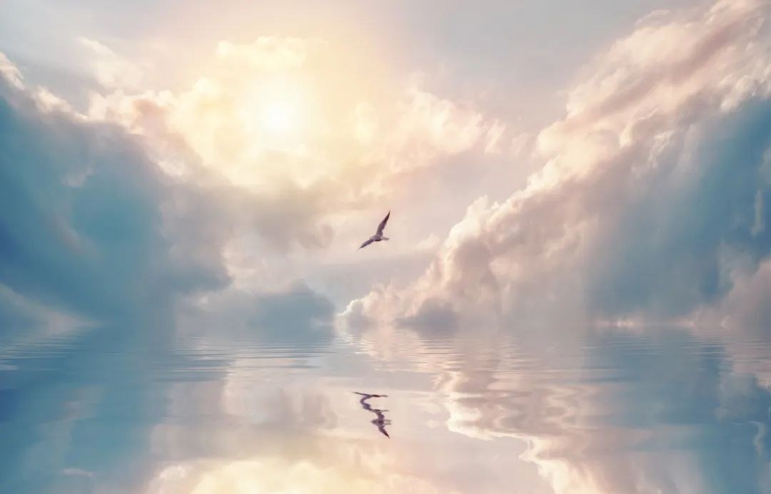 图片.png 图片.png