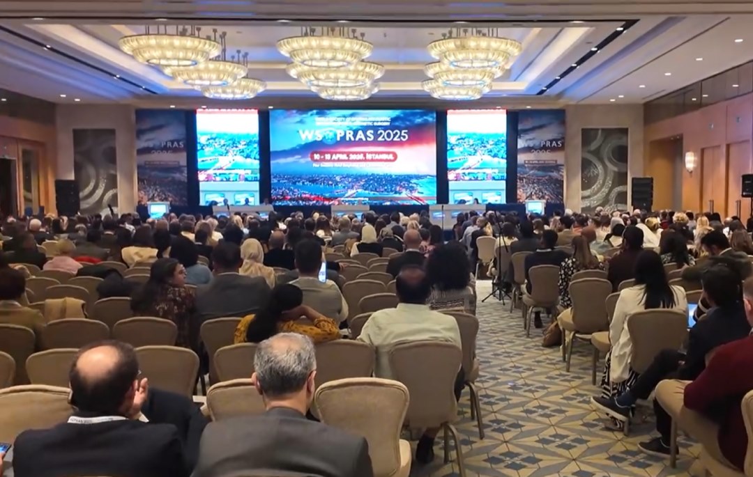 图片.png 图片.png