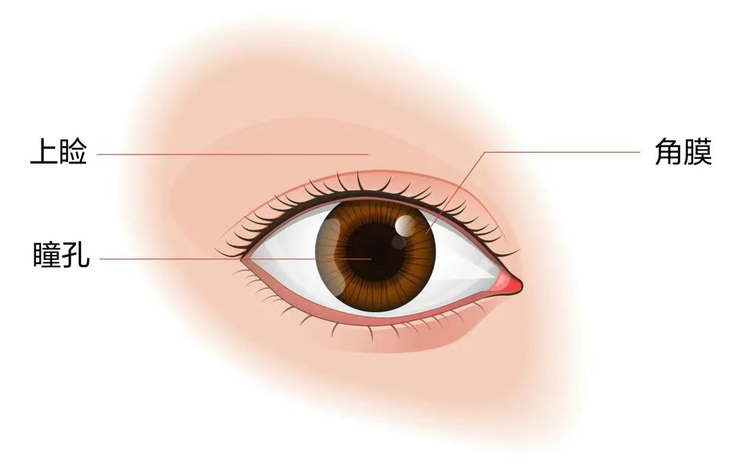 图片.png 图片.png