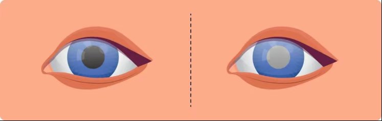 图片.png 图片.png